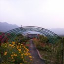 노을지는농장 이미지