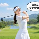 데이터온 | 선릉 골프 피팅샵 아끼는 아이언 샤프트 파손, 완벽하게 리샤프팅 받고 온 후기