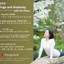 Connective tissue의 역할 이미지