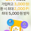 페이메이트