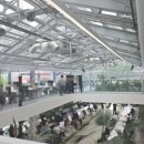 자연의모든것 | 🌿 식물관PH 웨딩 하객 후기 - 자연의 싱그러움 속에 다녀온 기억에 남는 결혼식 🌿