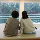 주식회사 열린스카이 | 제천가볼만한곳 청풍호유람선 충북가볼만한곳 국내여행추천 해요!