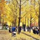 서울숲11 이미지