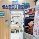 센스 모드니 가발