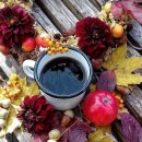 미소속에 비친그대 ~ 신승훈 이미지