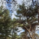 경기둘레길 연천11코스 이미지