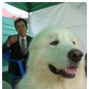 조타카이