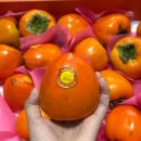 우리농수산 | 탈삽감으로 기존 단감과는 차원이 다른 달달한 단감 - 허수아비농수산 대봉단감 후기