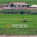 이병주농장 국민일보