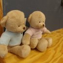 동해강의원 이미지