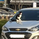 프롬디(FROM:D) 이미지