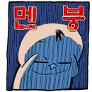 철원셀프세차타운