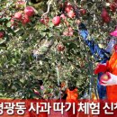 평광농장 이미지