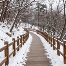 우면산둘레길 이미지