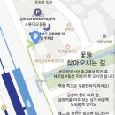 스튜디오;꽃들