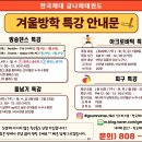 한국체대 금나래태권도 이미지