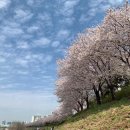 사당2동 주민센터 화장실 | 동작]2026년 4월 동작구 벚꽃축제 총정리｜신대방 어울림 벚꽃축제·사당2동 벚꽃축제 일정 프로그램 주차