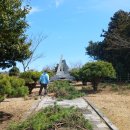 표선면-4 이미지