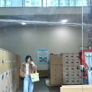 수영-305 이미지