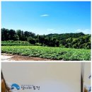 백령도 농수산