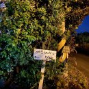 서연 민박 이미지