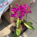 유광농장 이미지