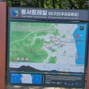 솔바람 파도소리 이미지