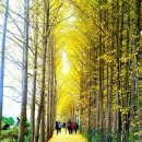 나주호농장 이미지