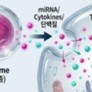서초힐스동물병원 이미지