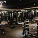 하이바디짐 이미지