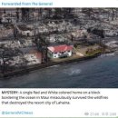 하와이 화재사건이 기후변화로 인한 자연재해 인것처럼 방송하는것을 100% 신뢰하시는분? 이미지