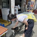 동부골목시장 이미지