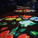 커피호수 이미지