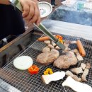 미천골산울림펜션 이미지