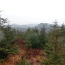 송림한우농장 이미지