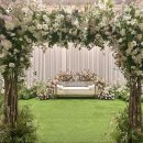 다르미앙 이미지