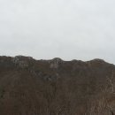 제일농원 이미지