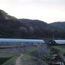 연풍1리 이미지