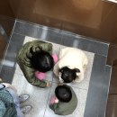 서원엘리베이터(주) - 안양시만안구 | 서원엘리베이터(주)