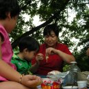 개미농장 이미지