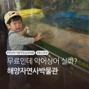 부산해양자연사박물관 | 무료인데 악어 상어까지 있다고? 부산 해양자연사박물관 후기 아이 반응 진짜 미쳤어요