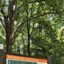 청호면옥 이미지