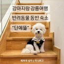 단에뜰스테이