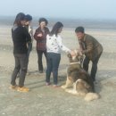 바다의별팬션 이미지