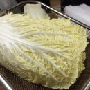 용두동 쭈꾸미 이미지