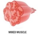 핏디렉터 프라이빗 PT스튜디오 이미지