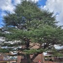 진주여자고등학교 앞 이미지