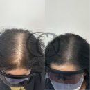 채오름SMP 이미지