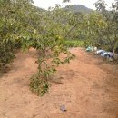 웅포농장 이미지