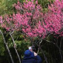 봄을담다 이미지